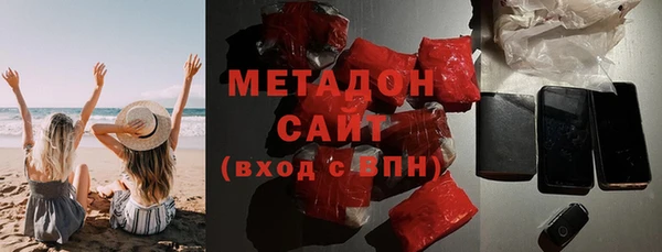 индика Гусев
