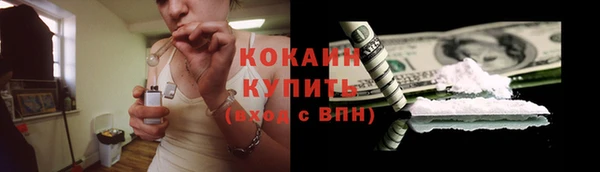 индика Гусев