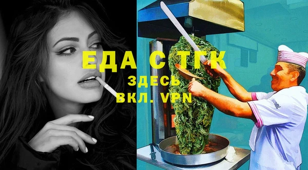индика Гусев