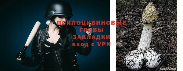 кристаллы Гусь-Хрустальный