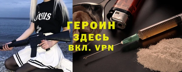 индика Гусев