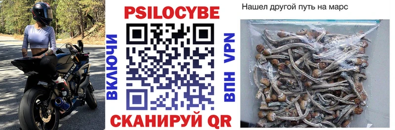 Галлюциногенные грибы Cubensis  Купить где  Чусовой 